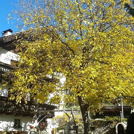 Huberhof Apartment Bressanone Luaran gambar