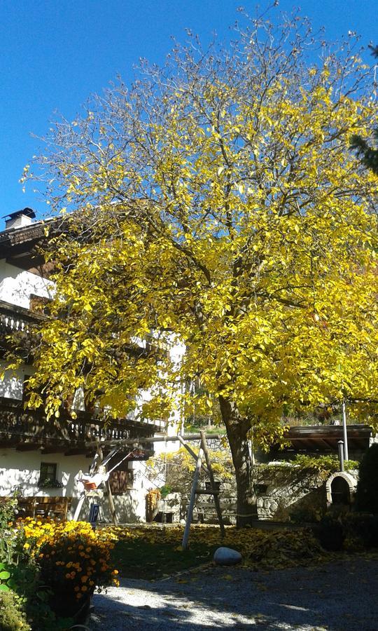 Huberhof Apartment Bressanone Luaran gambar